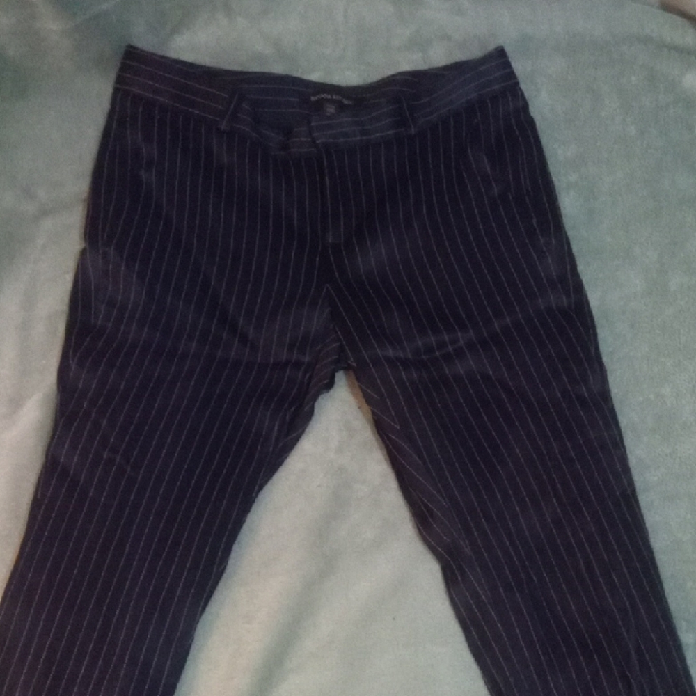 Banana Republic Navy Pinstripe Trousers